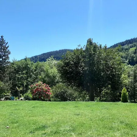 Les Sequoias, Mountain, Hot Tub, Quiet *